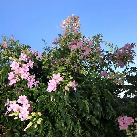 Appartement By The Sea - 9160 *